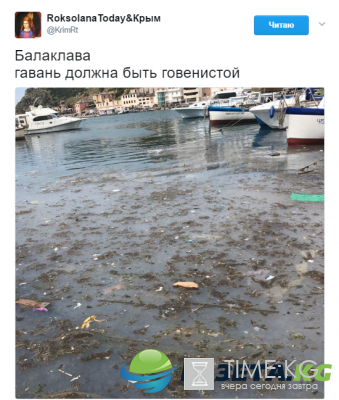В Сети обсуждают "цветущую" воду на крымских пляжах В Сети обсуждают "цветущую" воду на крымских пляжах