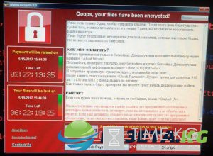 Вирус Wanna Cry – описание, как работает, лечение – как защититься