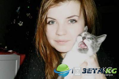 Забавные кошки, которые не любят селфи