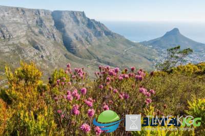 Загадочные достопримечательности, окруженные легендами. Фото
