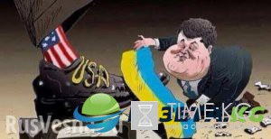 Зрада: Украина не является союзником США, — глава разведки Пентагона