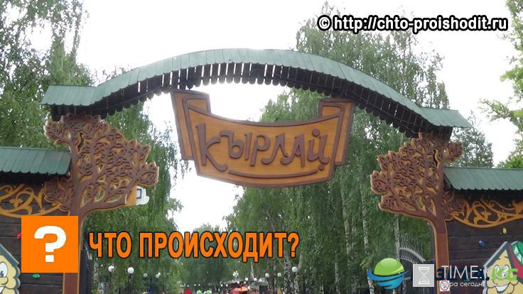 17 июня в казанском парке отметят енотский день