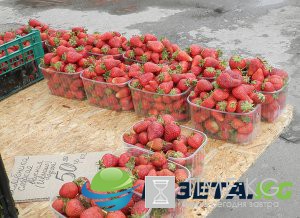 Дневник киевлянки: Украинцы тайком едут в Россию работать на стройке Керченского моста и объектов ЧМ-2018 ФОТО,