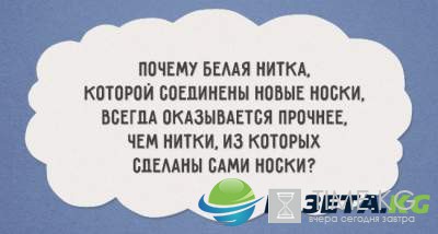 "Красота спасет мир, а пофигизм нервы" : остроумные открытки