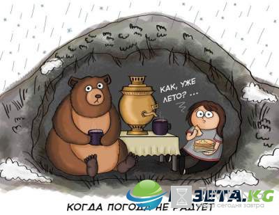 "Красота спасет мир, а пофигизм нервы" : остроумные открытки