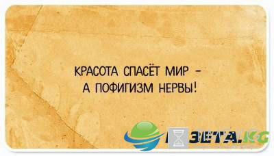 "Красота спасет мир, а пофигизм нервы" : остроумные открытки