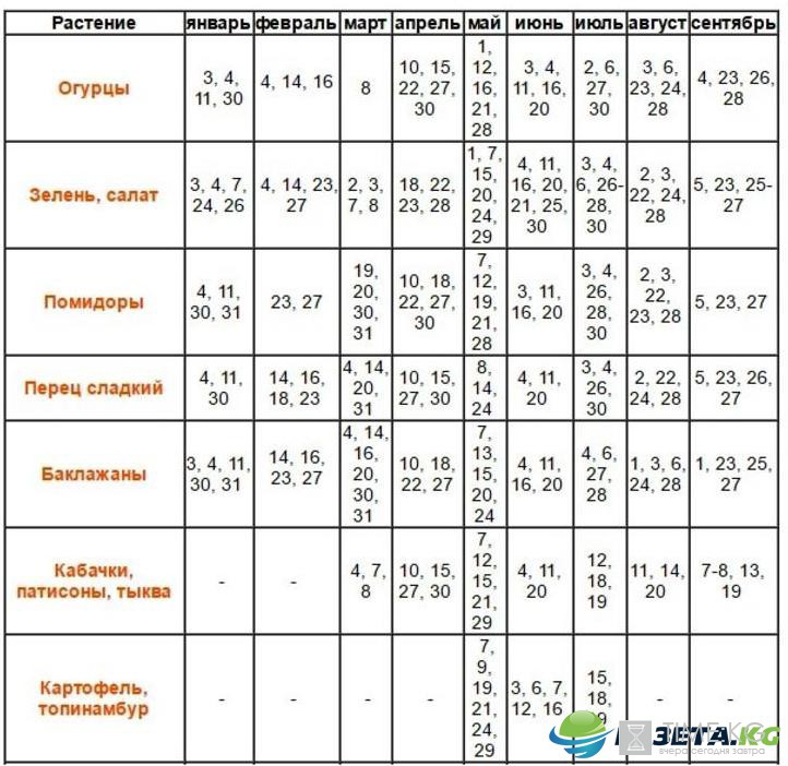 Лунный посевной календарь на июнь 2017 года садовода и огородника: таблица благоприятных дней