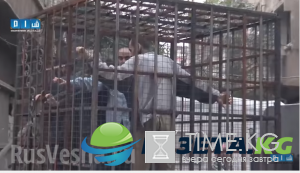 Микрогосударство боевиков у Дамаска: кровавые разборки банд, люди в клетках на крышах и торговля гумпомощью ООН ФОТО, Микрогосударство боевиков у Дамаска: кровавые разборки банд, люди в клетках на крышах и торговля гумпомощью ООН ФОТО,