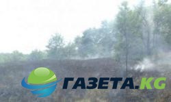 На Хортице горела "Запорожская Сечь" : опубликованы фото