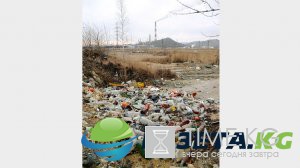Названы самые чистые и самые грязные регионы России Названы самые чистые и самые грязные регионы России