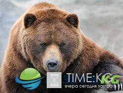 Не боитесь Россию? Тогда мы идём к вам.