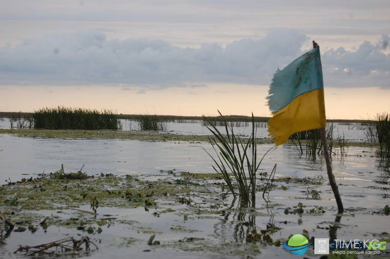 "Недолго музыка играла": Украинцев предупредили о возможной отмене безвиза