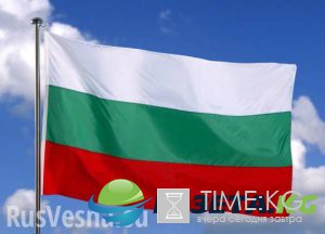 «Остановить террор на Украине», — в Софии протестовали против репрессий в отношении болгар