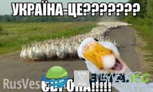 Отказывая украинцам в праве быть русскими, Киев ведёт страну к распаду, — National Interest