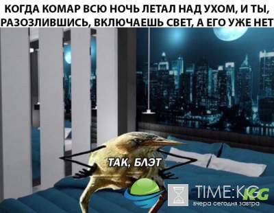 "Почта России создаст авиакомпанию" : веселые приколы "Почта России создаст авиакомпанию" : веселые приколы