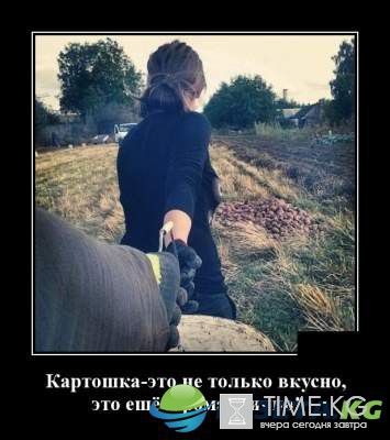 Подборка вирусных демотиваторов, вызывающих улыбку Подборка вирусных демотиваторов, вызывающих улыбку