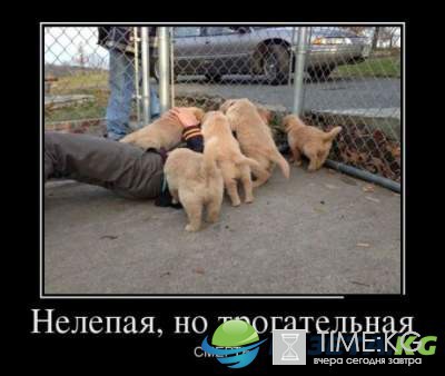 Подборка вирусных демотиваторов, вызывающих улыбку Подборка вирусных демотиваторов, вызывающих улыбку