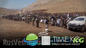 Сирия: Большие силы боевиков объединяются в «Национальную армию» Сирия: Большие силы боевиков объединяются в «Национальную армию»