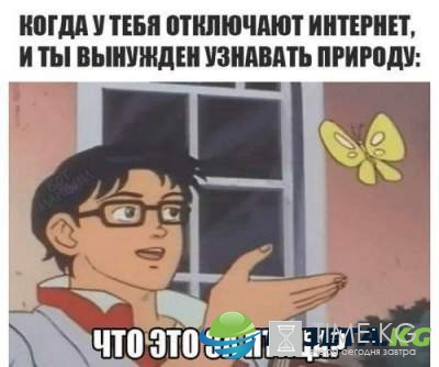 Смеха много не бывает: уморительные картинки Смеха много не бывает: уморительные картинки