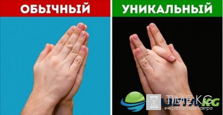 12 мифов о человеческом теле, которые пора забыть