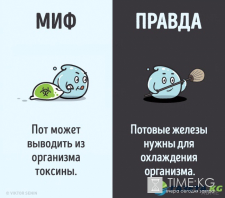 12 мифов о человеческом теле, которые пора забыть