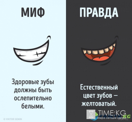 12 мифов о человеческом теле, которые пора забыть
