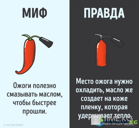 12 мифов о человеческом теле, которые пора забыть