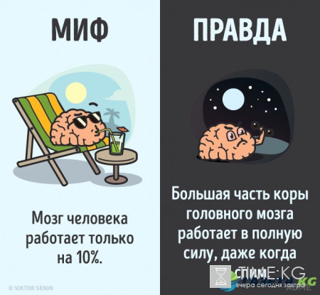 12 мифов о человеческом теле, которые пора забыть