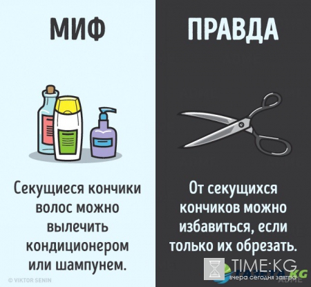 12 мифов о человеческом теле, которые пора забыть