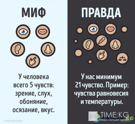 12 мифов о человеческом теле, которые пора забыть