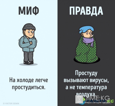 12 мифов о человеческом теле, которые пора забыть