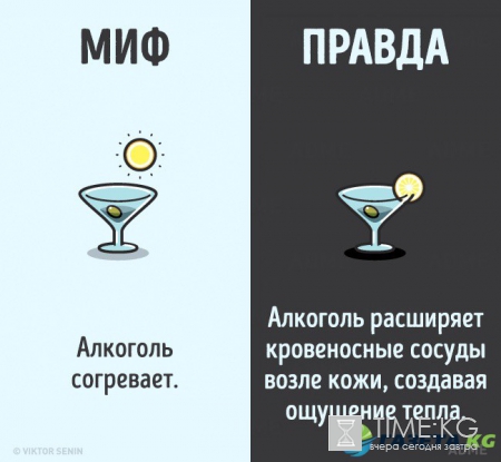12 мифов о человеческом теле, которые пора забыть
