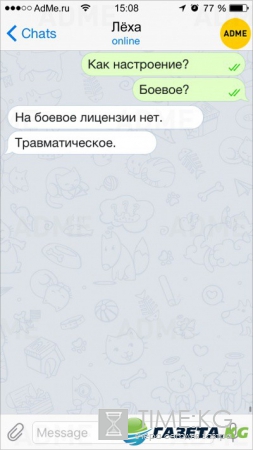 15 СМС о нашей сумасшедшей жизни