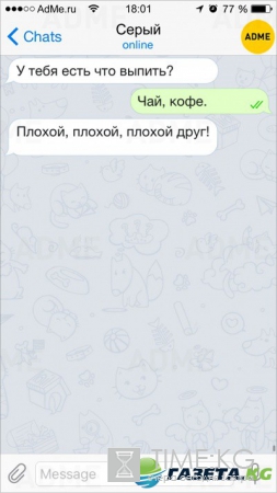 15 СМС о нашей сумасшедшей жизни