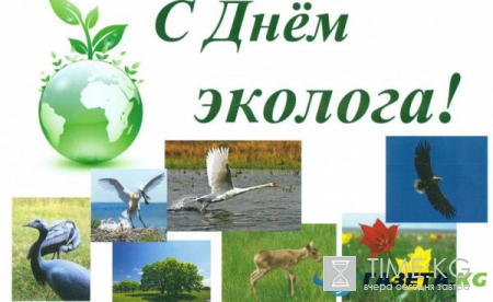 5 июня День эколога 2017 — День охраны окружающей среды в 2017 году — Поздравления с Днем эколога прикольные — Поздравление с Днем эколога в стихах — Стихи прикольные про экологов
