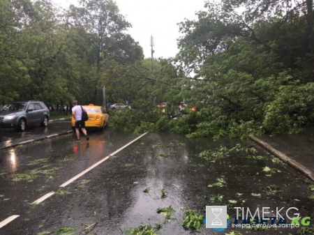 «Буря в стакане воды» — метеоролог объяснил, почему не стоит доверять ближайшим предупреждениям МЧС