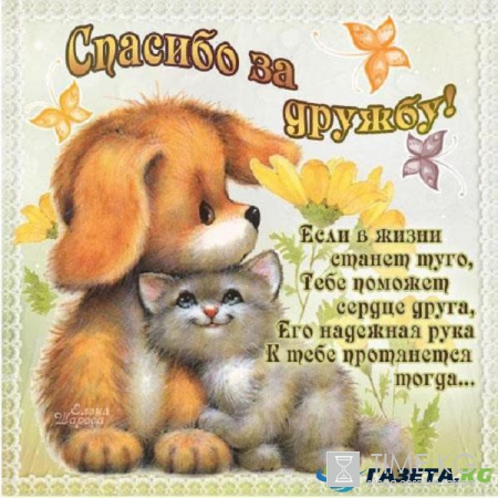 День друзей: поздравления в стихах и картинках