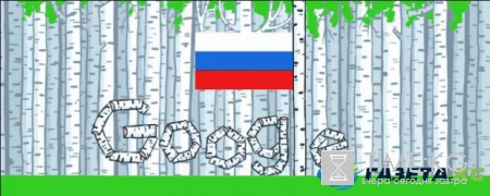 День России: в Интернете высмеяли дудл для Google