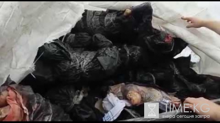 Двое украинцев пытались провезти на тракторе в Россию почти 3 тонны мяса
