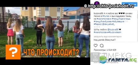 Флешмоб «Мало половин» танцуют все: Сборная России по плаванию, невесты из Иваново, хабаровская школа танцев, дети и официанты