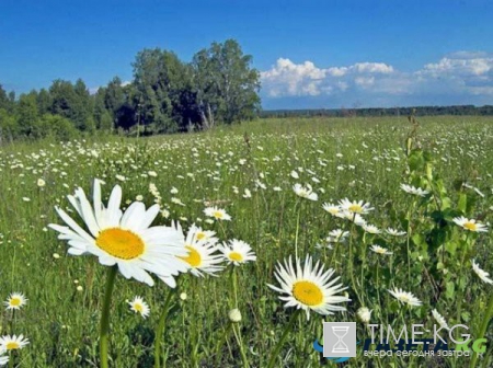 Гороскоп на июнь 2017 года по знаку зодиака и году рождения: чего ждать и чего опасаться в первый месяц лета