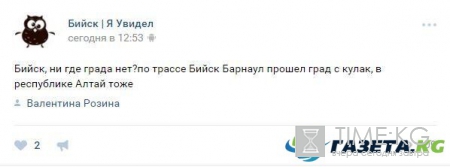 Град размером с теннисный мяч на Алтае испортил урожай