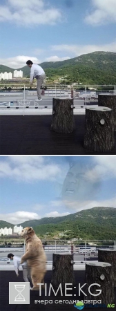 Как фотошоп-умельцы остроумно троллят людей