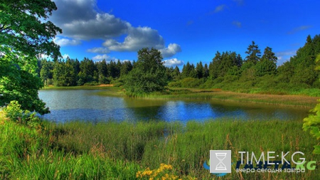 Каким будет лето 2017 в Москве прогноз синоптиков на 09 июня 2017 г.. Срочные новости