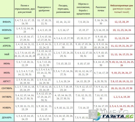 Календарь посадки рассады в грунт на 2017 год когда и как сажать рассаду на 11 июня 2017 г.. Подробная информация