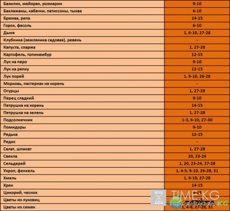 Календарь посадки рассады в грунт на 2017 год когда и как сажать рассаду на 11 июня 2017 г.. Подробная информация