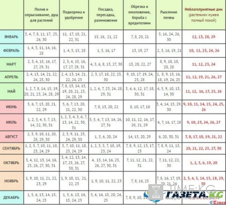 Лунный календарь для посадки рассады на 2017 год, календарь садовода и огородника 2017