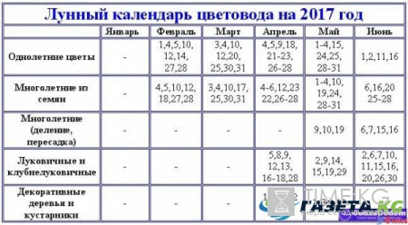 Лунный календарь для посадки рассады на 2017 год, календарь садовода и огородника 2017