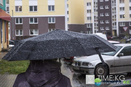 Неделя дождей. Прогноз погоды на 5 июня