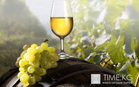 Новое исследование о секретах винных этикеток